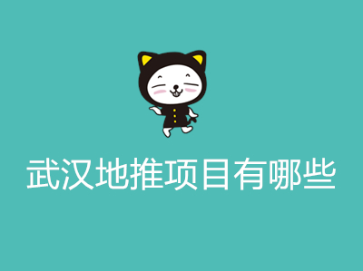 武汉地推项目有哪些