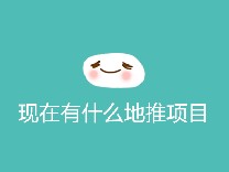 现在有什么地推项目