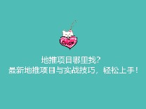 地推项目哪里找？最新地推项目与实战技巧，轻松上手！