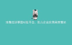 地推拉新项目对接平台，助力企业实现高效增长